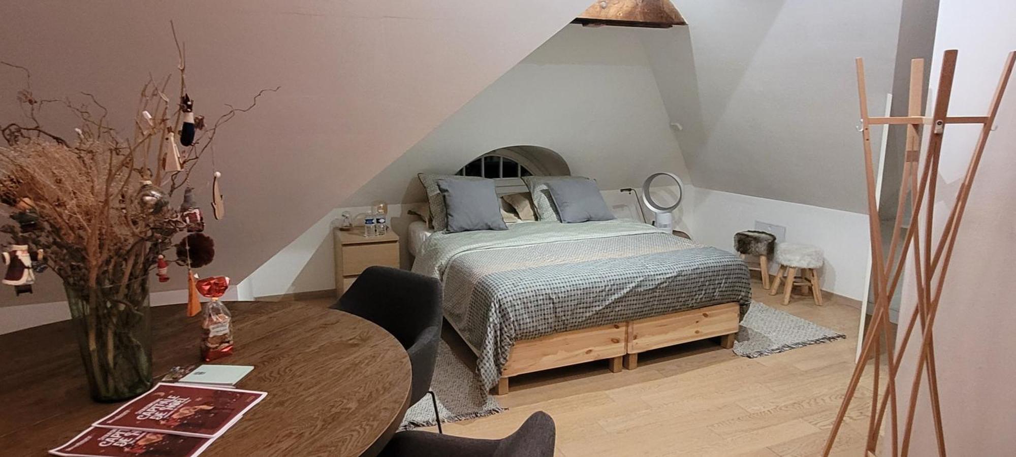 Studio 50M2 Au Bord De L'Eau A สตราสบูร์ก ภายนอก รูปภาพ